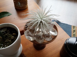 20150616_105212