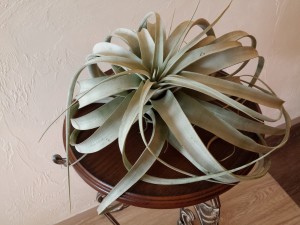 20150616_105237