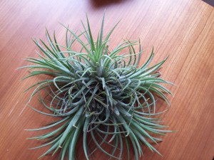 20150616_110220