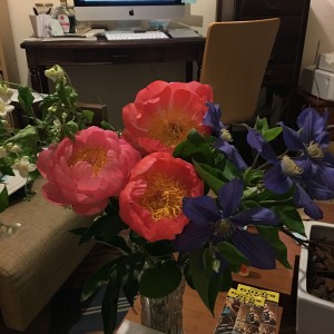 image1 4