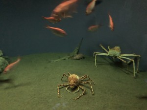 IMG_3084