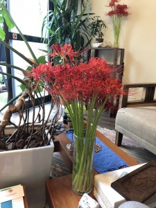 image1 2
