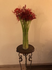 image1 3